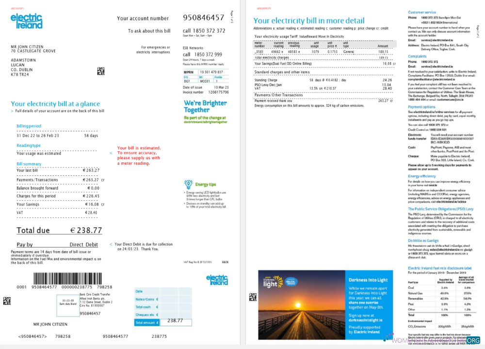 download Ireland Electric Ireland utility bill template in Word and PDF format, version 2, 2 pages PDF template